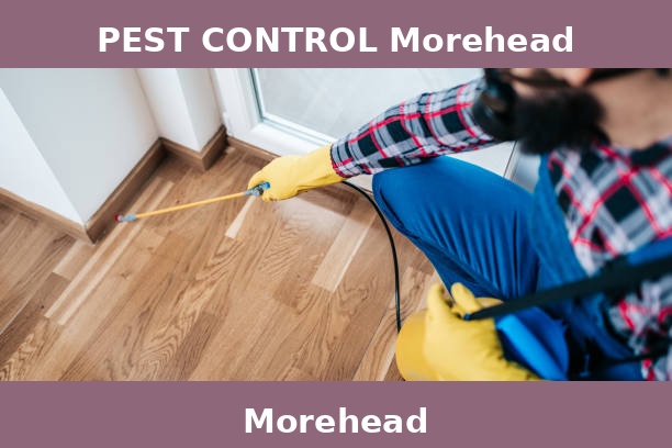 PEST CONTROL Morehead